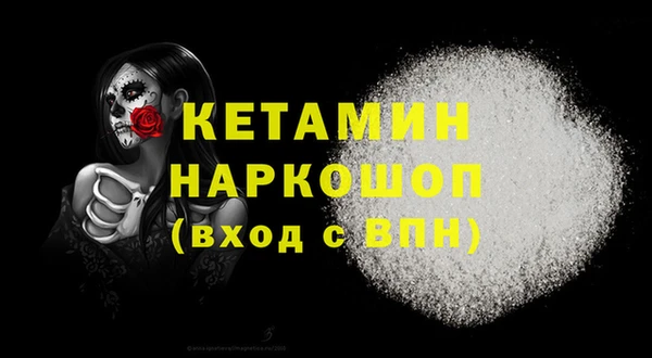 гашик Бердск