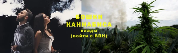дживик Володарск