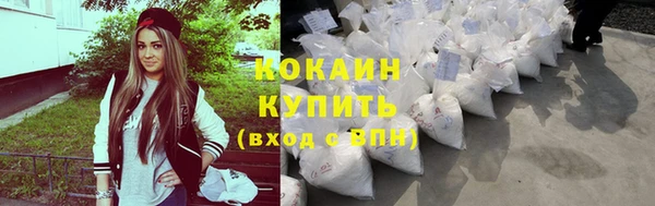 сатива Новокубанск