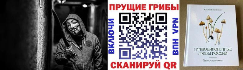 где купить наркоту  Зубцов  Псилоцибиновые грибы мухоморы 